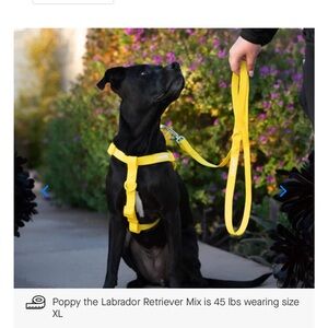 Canada Pooch Harness, Leash, Collar Set